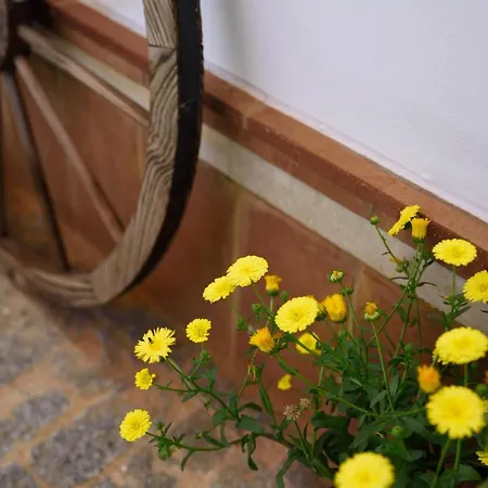 Rural Santa Aldea Del Rocio Guest house